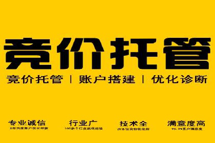 SEM广告投放案例：打造品牌影响力